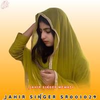 JAHIR SINGER SR001029