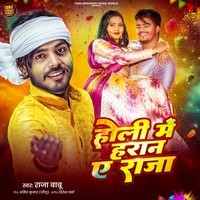 dj raja babu holi