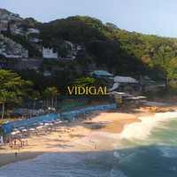 Vidigal