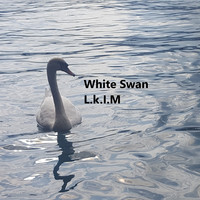 White Swan