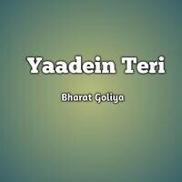 Yaadein Teri