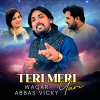 Teri Meri Yari