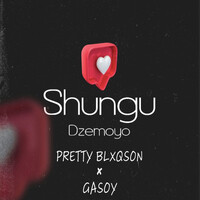 Shungu Dzemoyo