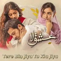 Tere Bin Jiya Tu Kia Jiya (From "Ishq e Laa")