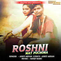 Roshni Mat Puchona