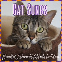 Cat Songs - Beautiful Instrumental Melodies for Felines