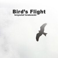 Bird's Flight