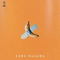 Sobo Bonobo