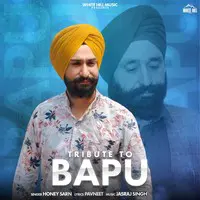 Tribute To Bapu
