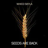 Seeds Are Back