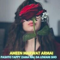 Pashto Tappy Zama Hal Da Lewani Sho