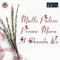 Malle Pulero Prema Mara A Chandu Re