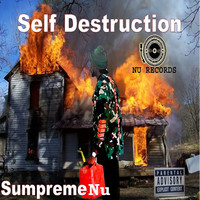 Self Destruction