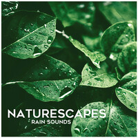 Rain Sounds