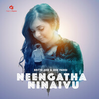 Neengatha Ninaivu