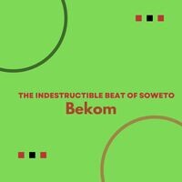 The Indestructible Beat of Soweto