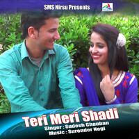 Teri Meri Shadi