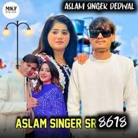 ASLAM SINGER SR 8618