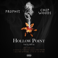 Hollow Point