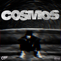 Cosmos