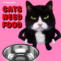 Cats Need Food