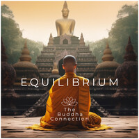 Equilibrium