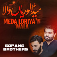 Meda Loriyan Wala