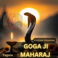 Goga ji maharaj