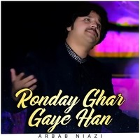 Ronday Ghar Gaye Han