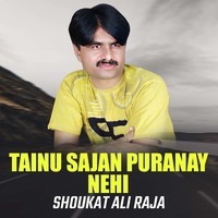 Tainu Sajan Puranay Nehi