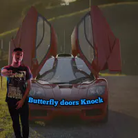 Butterfly Doors Knock