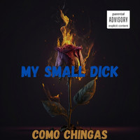 My Small Dick