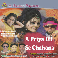 A Priya Dil Se Chahona