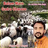 Balam Maro Gadra Charave