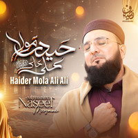 Haider Mola Ali Ali