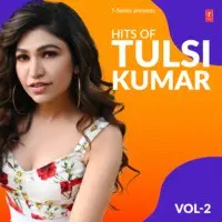 Hits Of Tulsi Kumar Vol-2