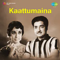 Kaattumaina