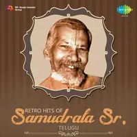 Retro Hits of Samudrala Sr.