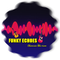 Funky Echoes