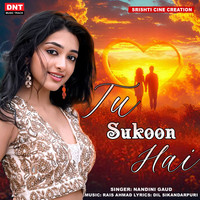 Tu Sukoon Hai