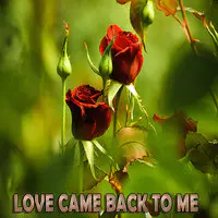 Love Came Back to Me