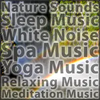 Nature Sounds Meditation Music Sleep Music Spa Music Yoga Music Relaxing Music Sounds of Nature Sound Effects and White Noise