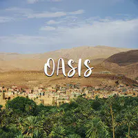 Oasis