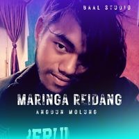 Maringa Reidang