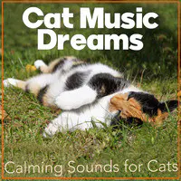 Cat Music Dreams : Calming Sounds for Cats