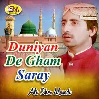 Duniyan De Gham Saray