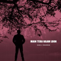 Main Tera Naam Loon