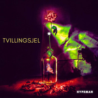 Tvillingsjel