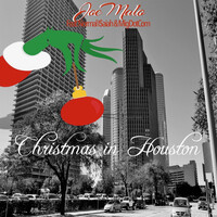 Christmas in Houston