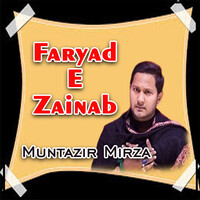 Faryad E Zainab